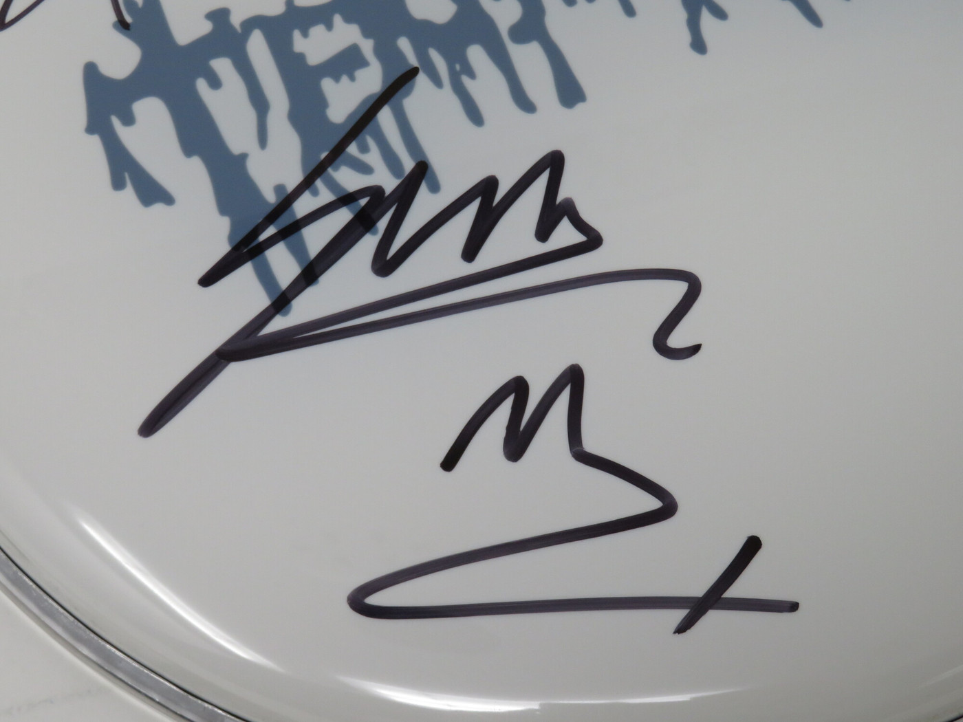 Terrorizer Signed Drumhead RR59352
