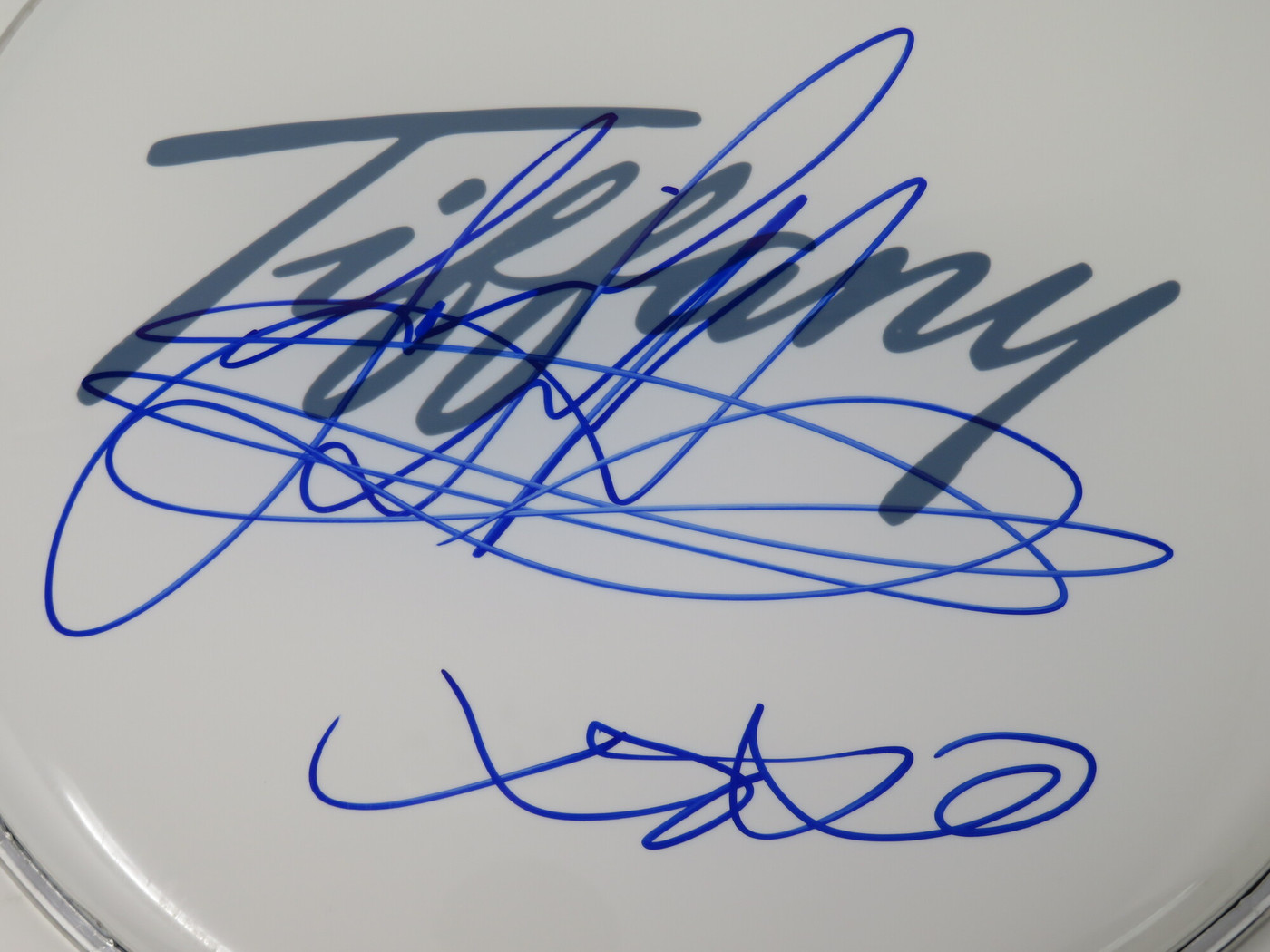 Tiffany Signed Drumhead RR59141