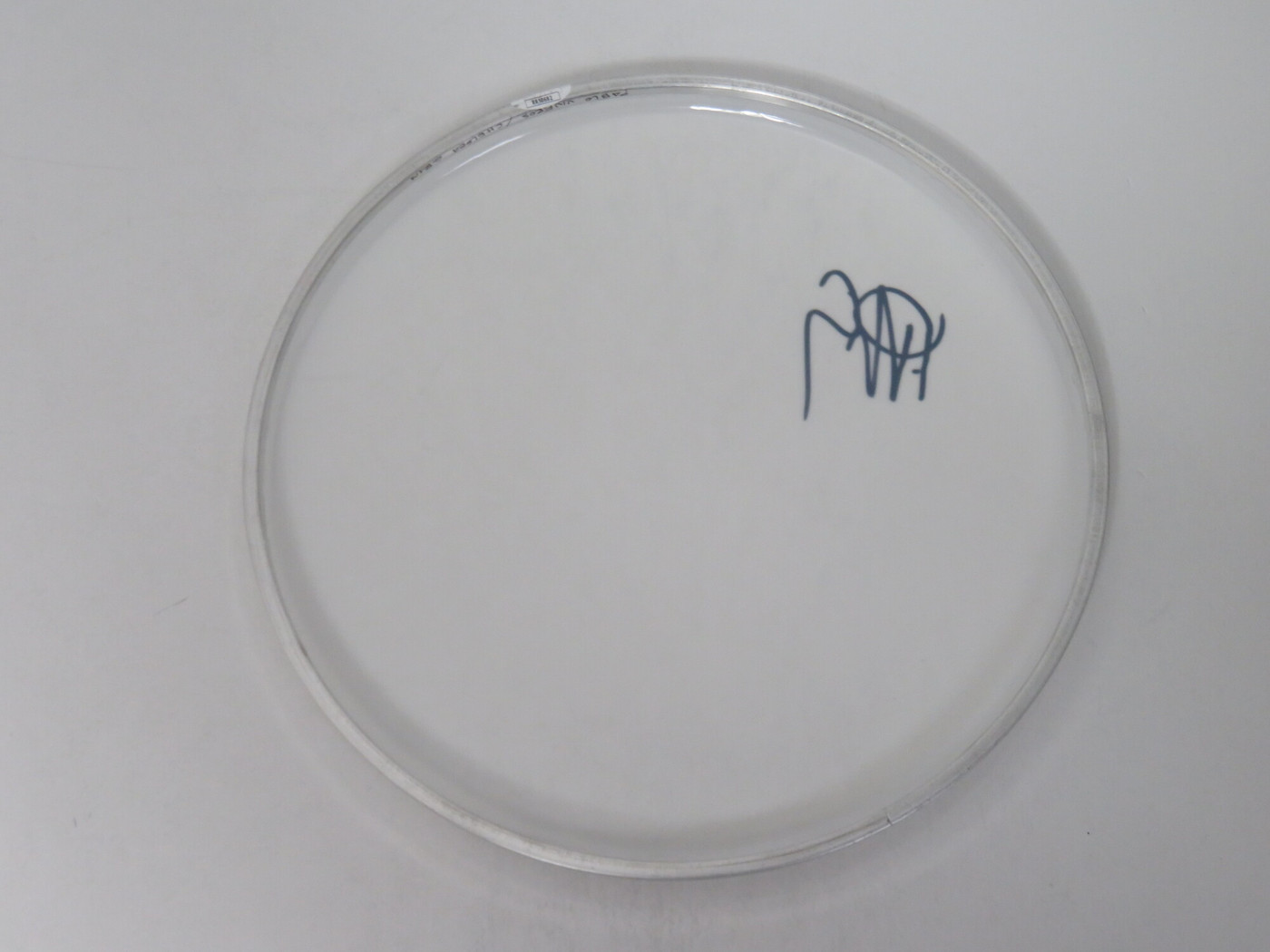 Chelsea Grin Signed Drumhead LH-RR58682