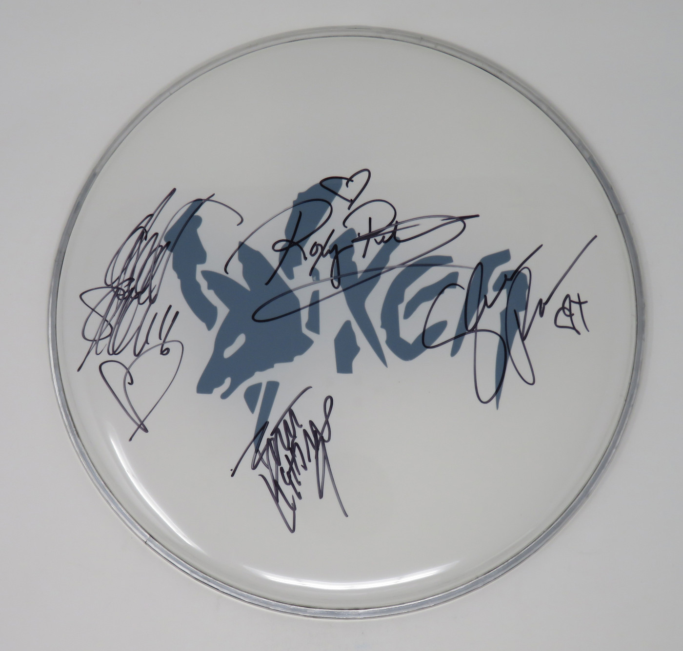 Vixen Signed Drumhead RR58678