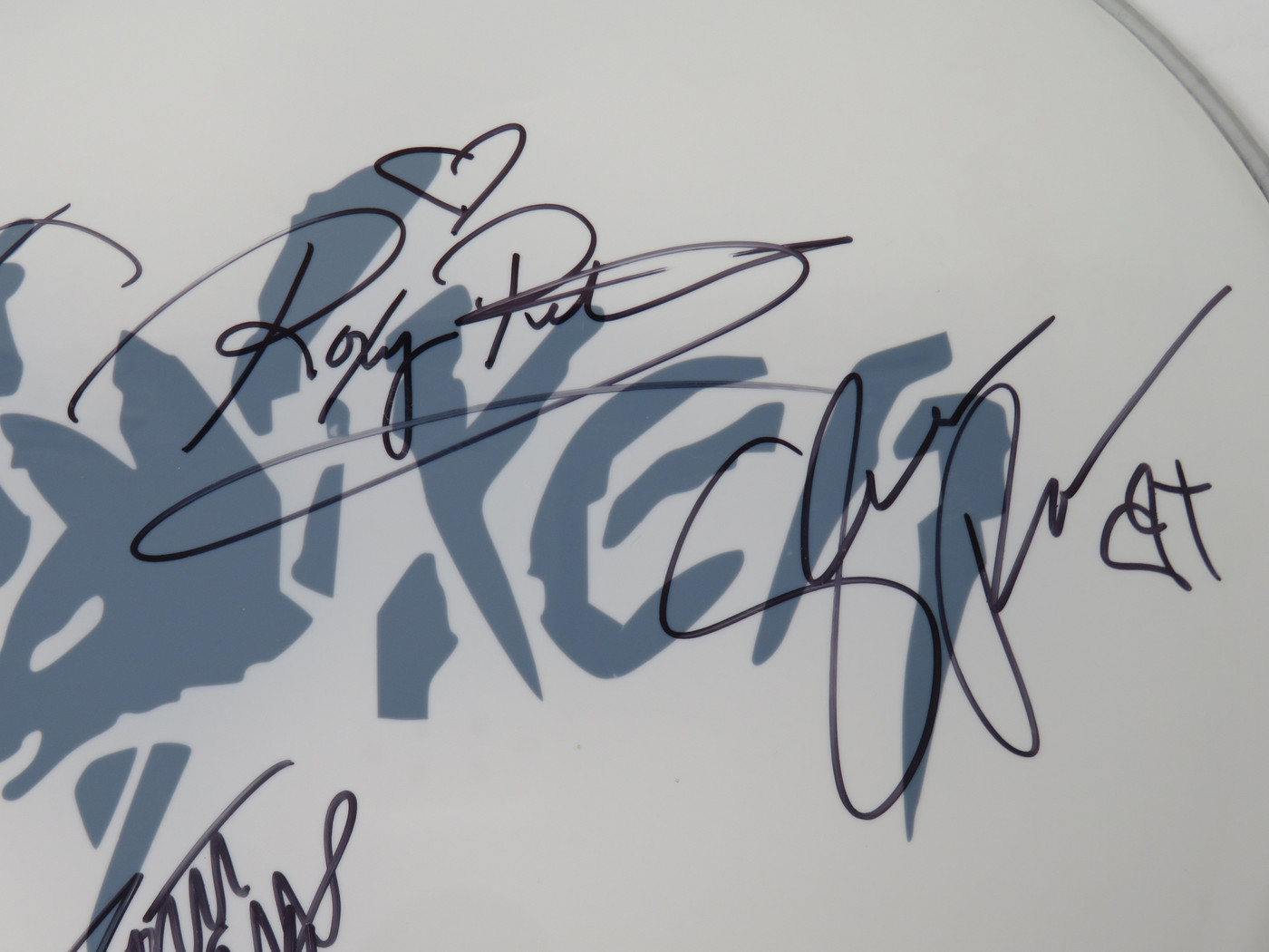 Vixen Signed Drumhead RR58678