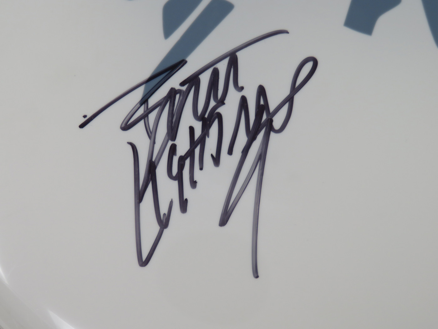 Vixen Signed Drumhead RR58678