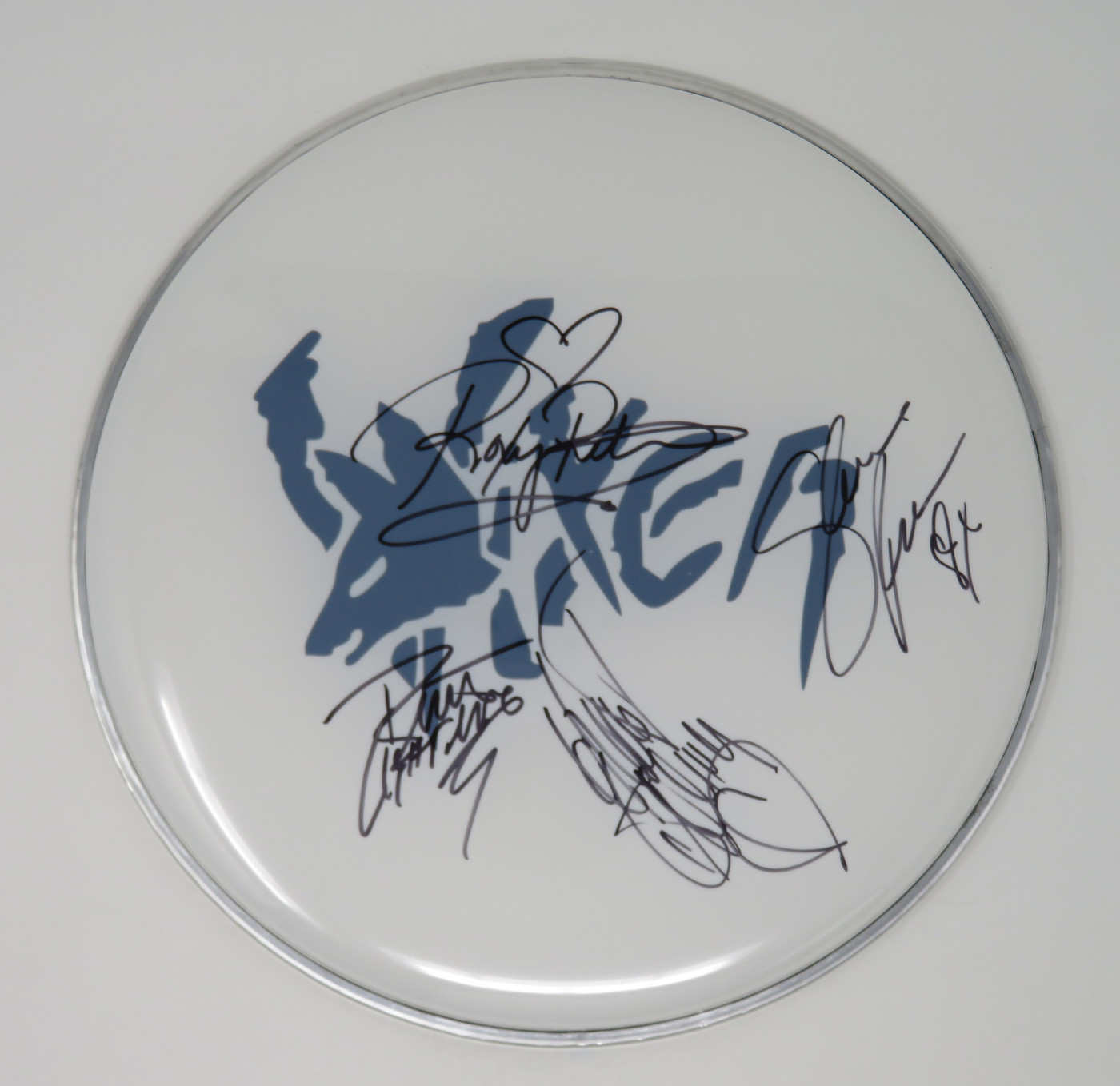 Vixen Signed Drumhead RR58675