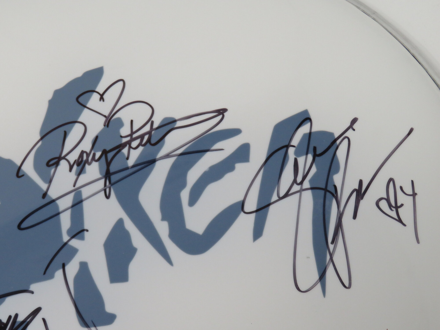 Vixen Signed Drumhead RR58676