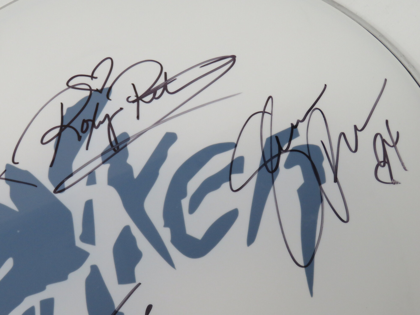 Vixen Signed Drumhead RR58677