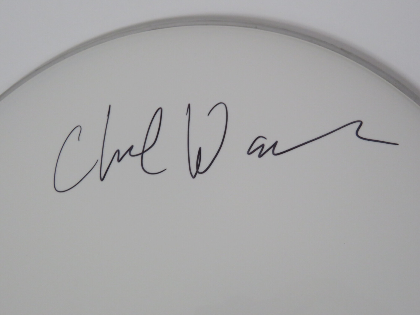 The Frank Zappa Group Signed Drumhead LH-RR58698