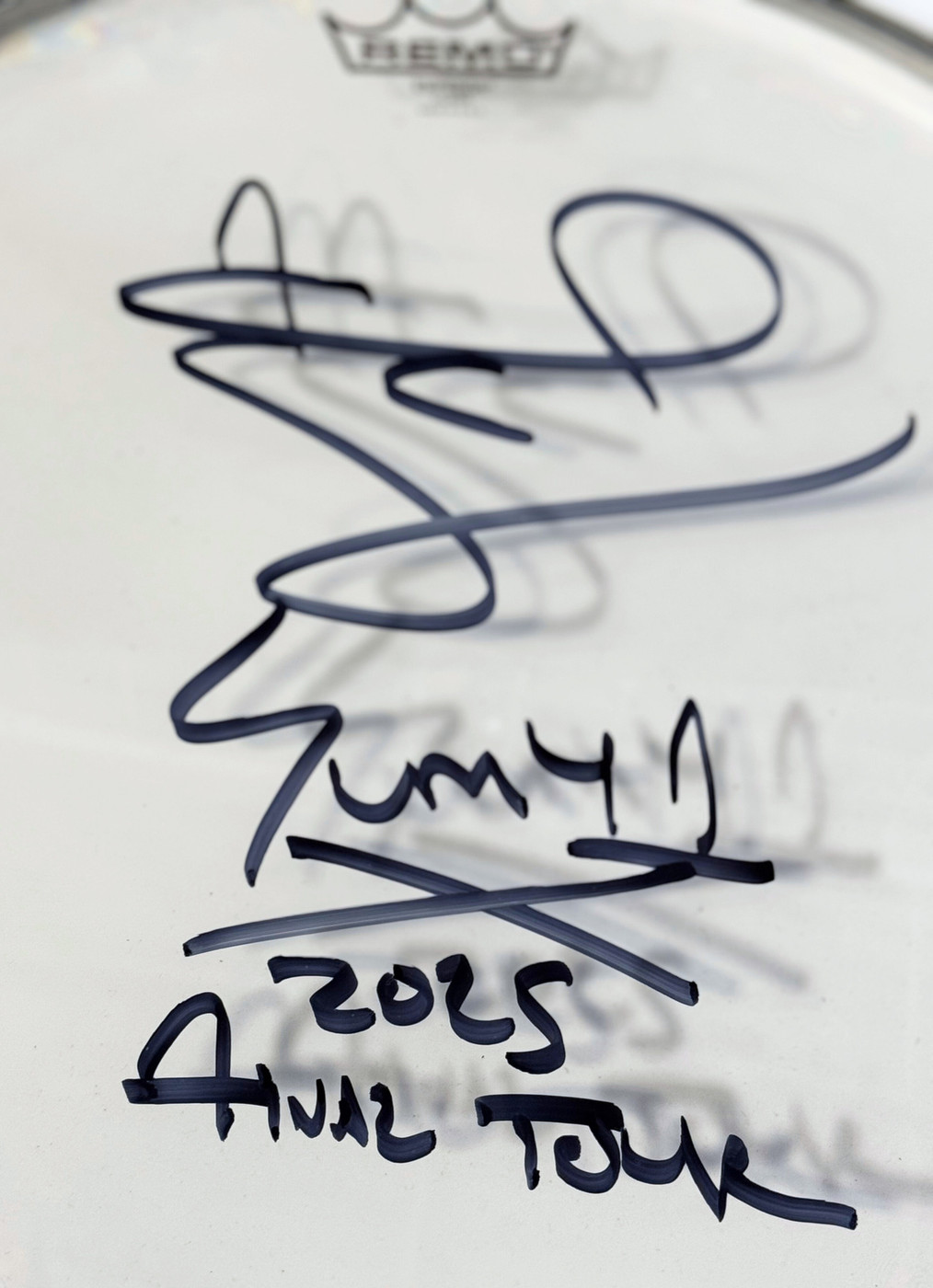 Frank Zummo (Sum 41) Signed 16” Clear Tom Heads