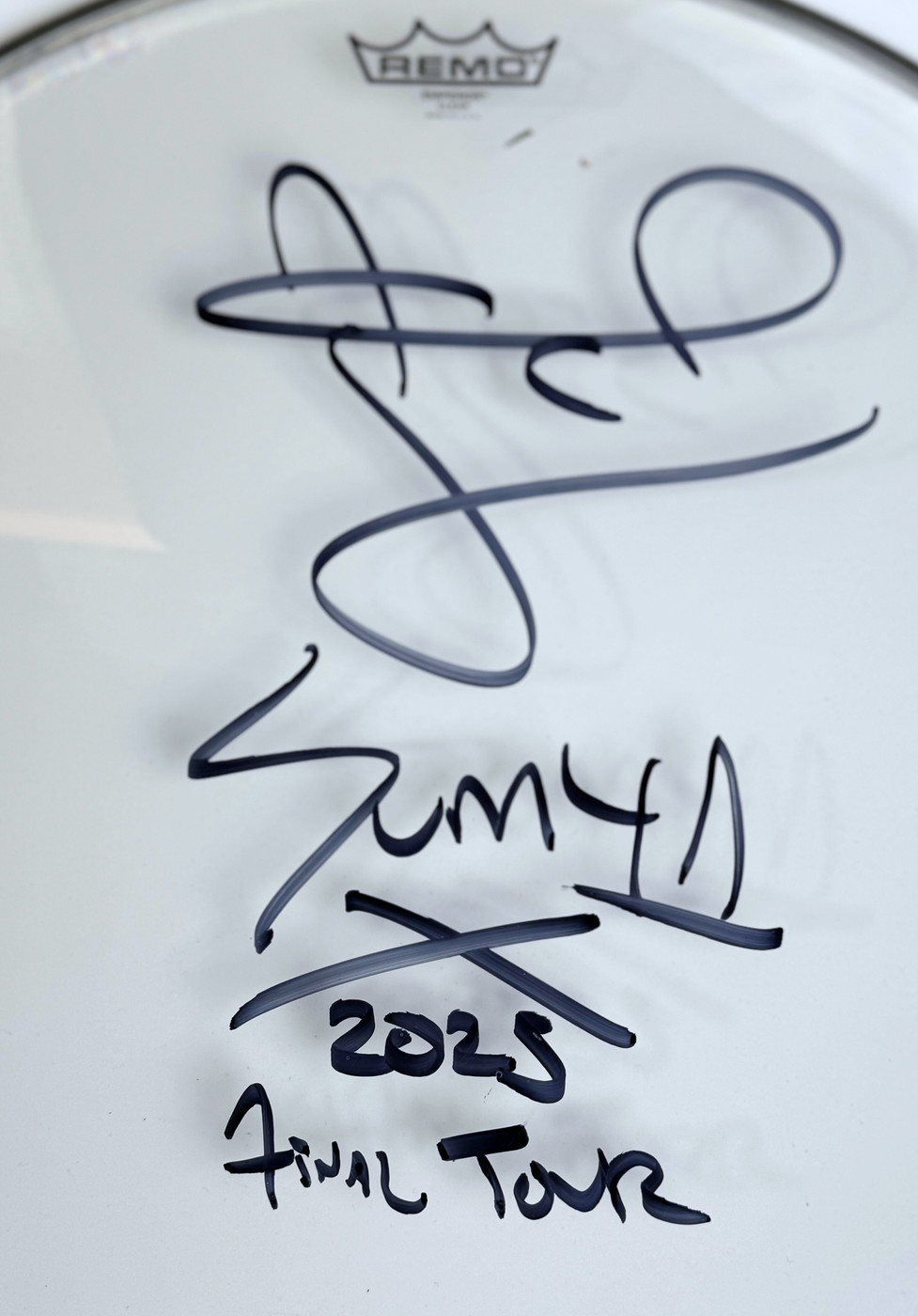 Frank Zummo (Sum 41) Signed 18” Clear Tom Heads