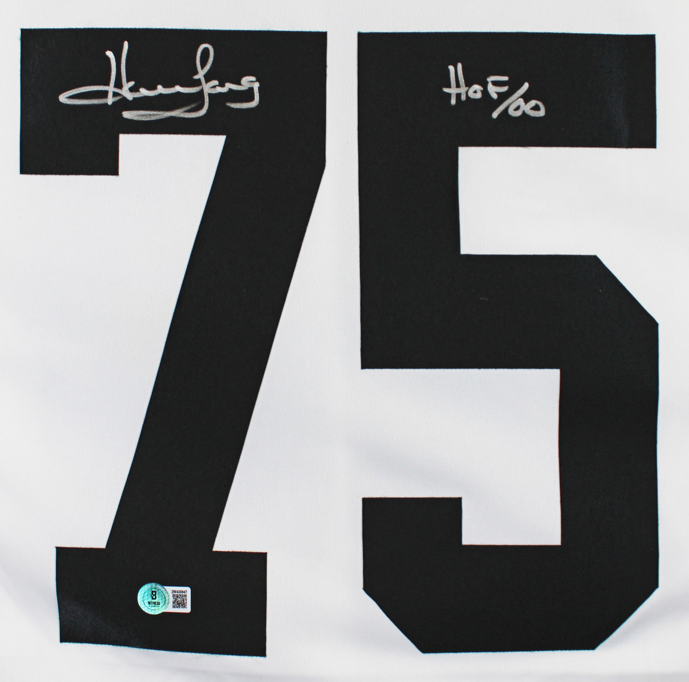 Raiders Howie Long 