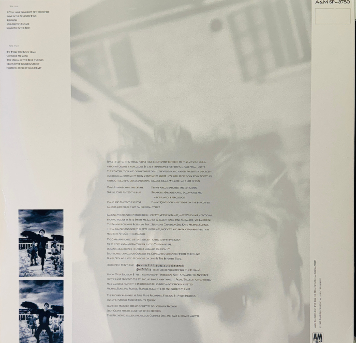 The Dream of the Blue Turtle