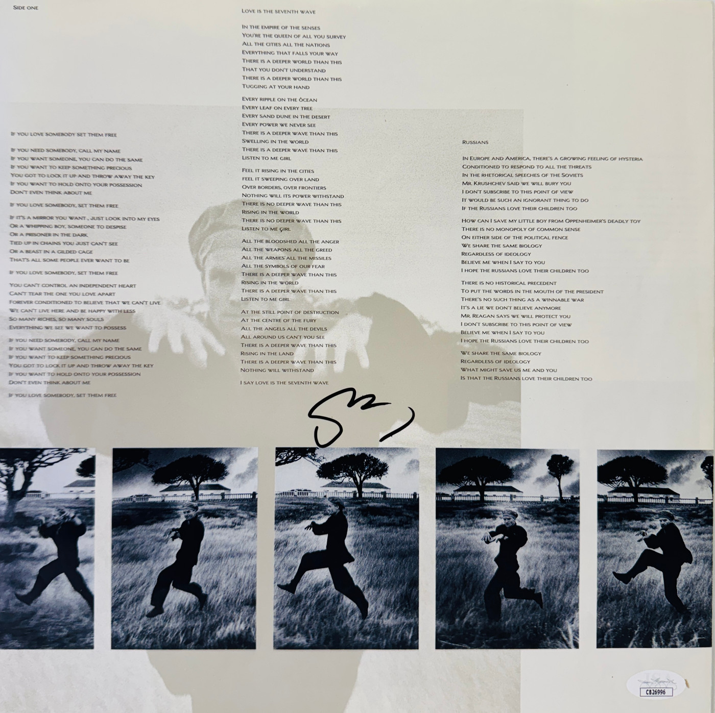 The Dream of the Blue Turtle