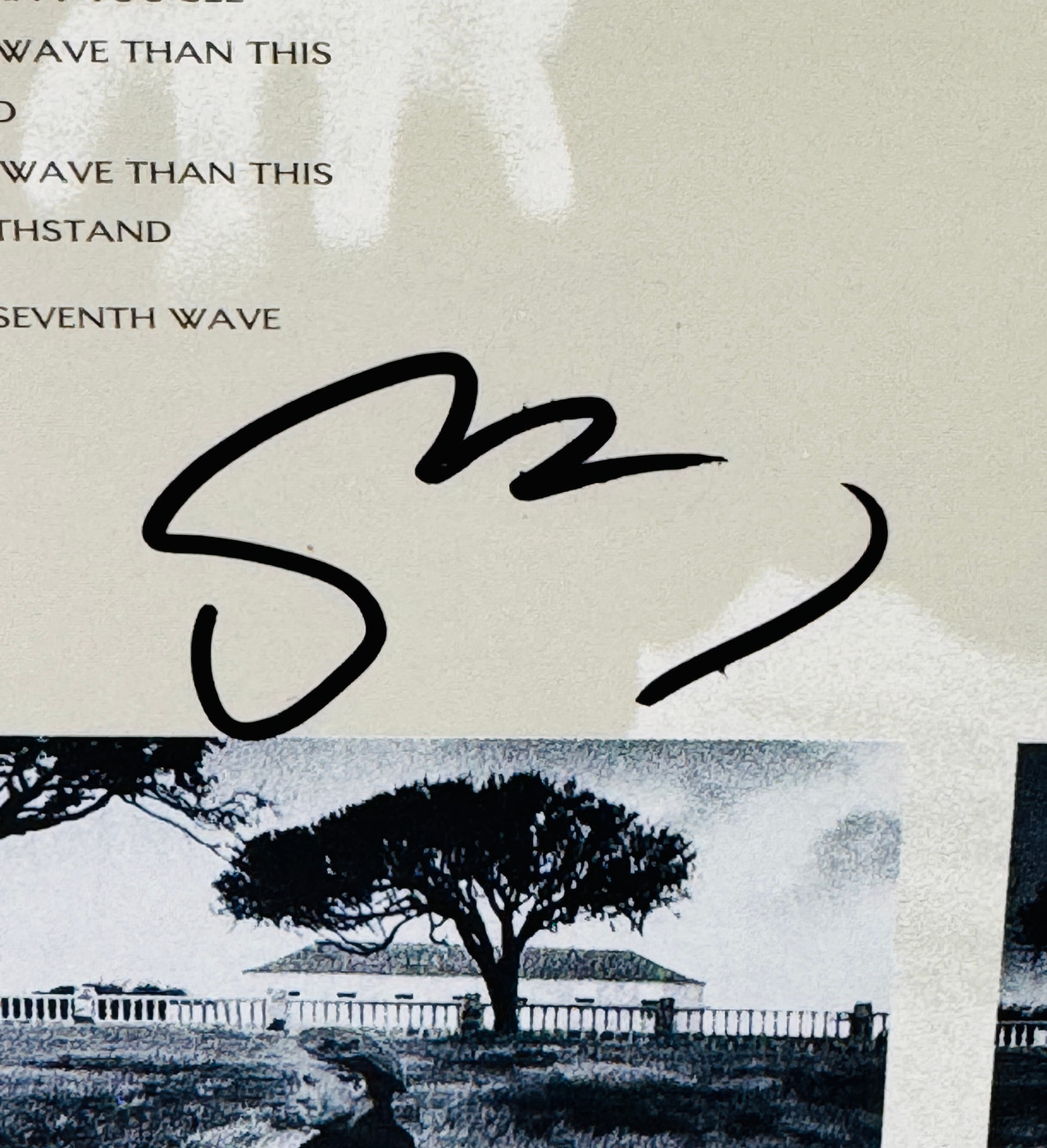 The Dream of the Blue Turtle