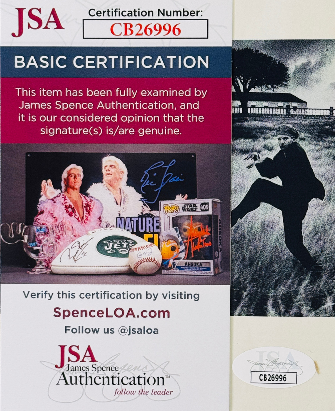 The Dream of the Blue Turtle