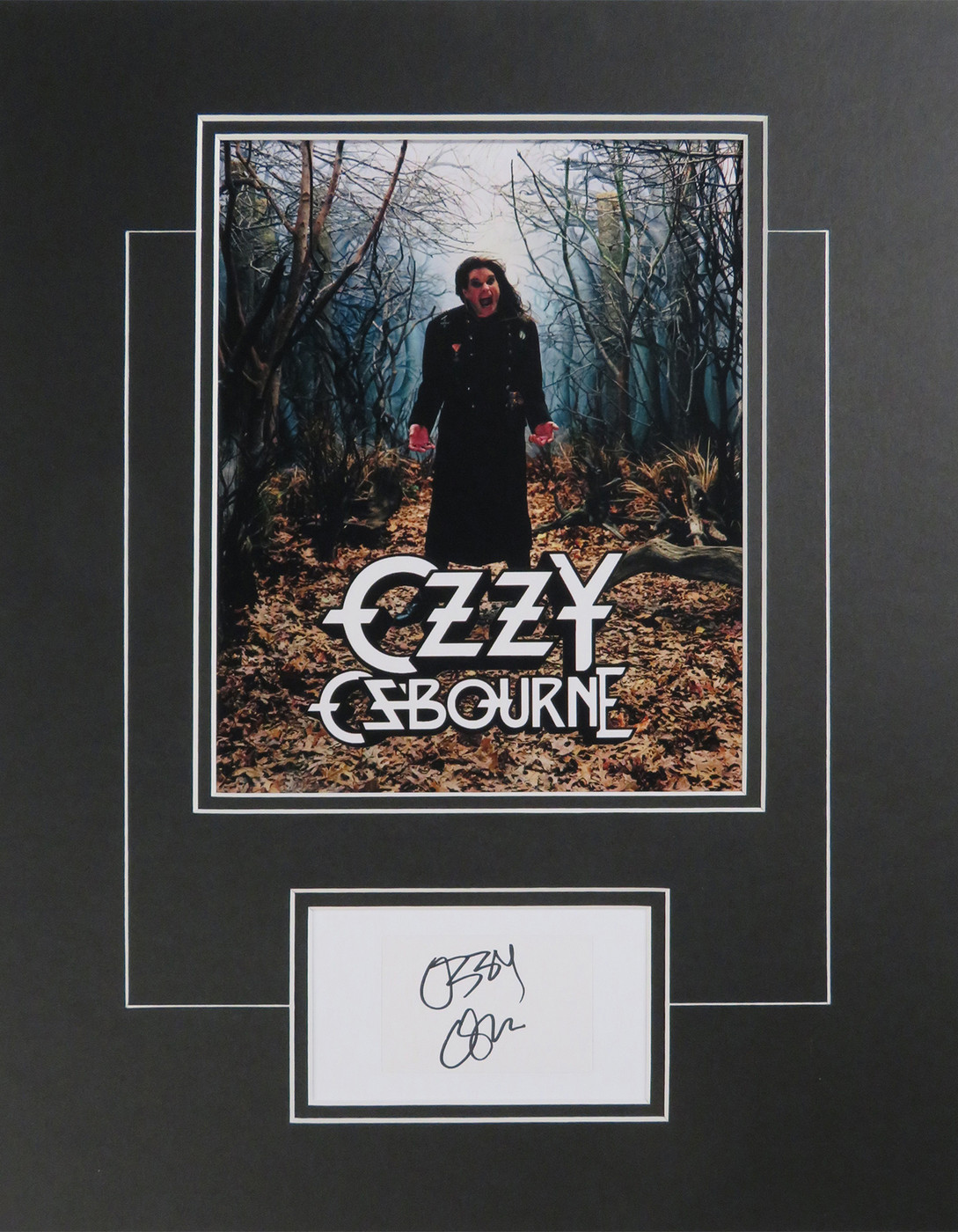OZZY_0002_LH-OO-GG12370-