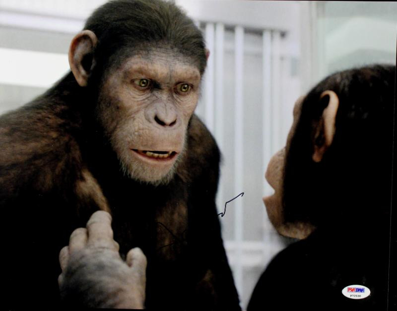 Andy Serkis Planet Of The Apes Signed Authentic 11X14 Photo PSA/DNA #P72530
