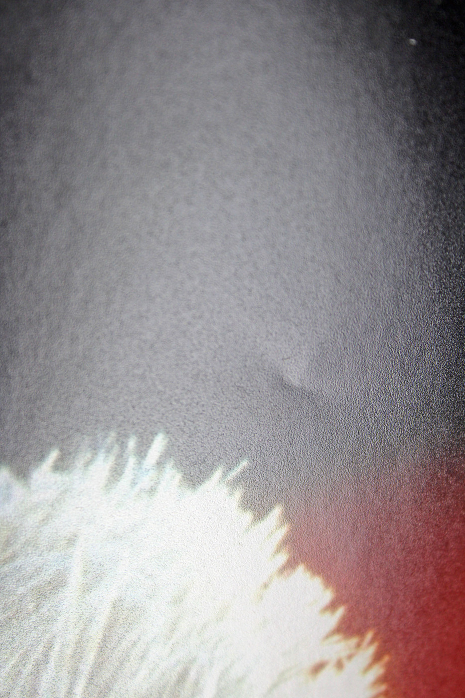 Val Kilmer Top Gun "Iceman" Authentic Signed 16x20 Photo JSA Witness #WP515841