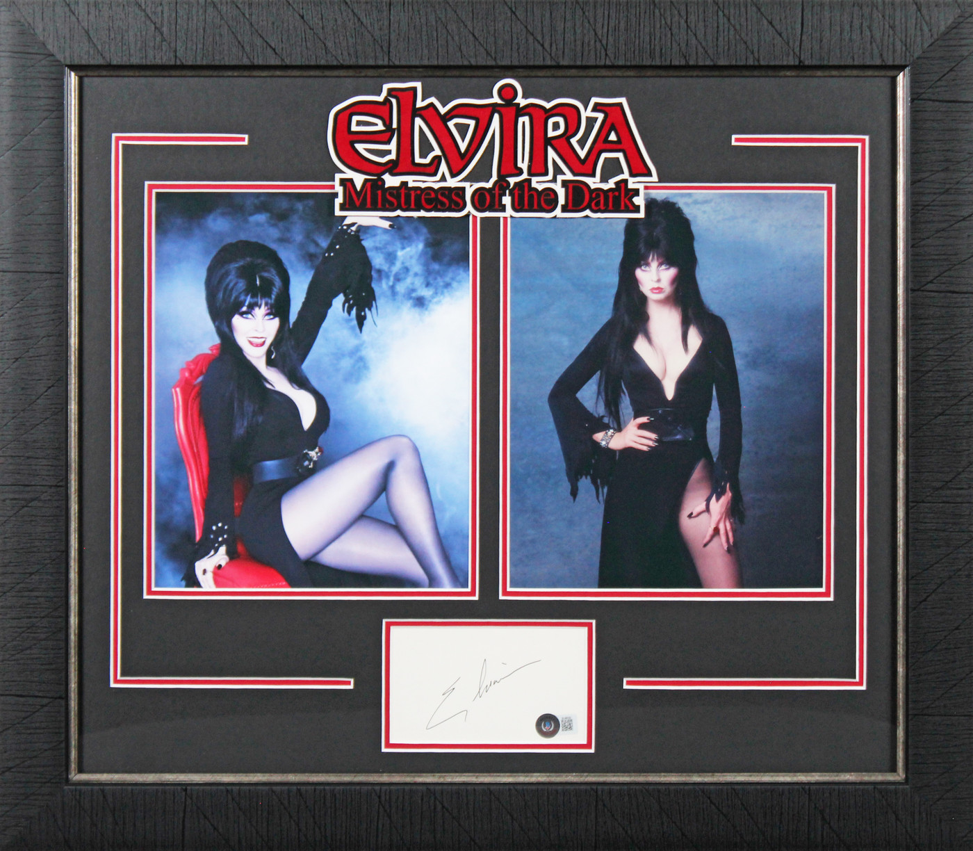 Cassandra Peterson Elvira: Mistress of the Dark Signed & Framed Display BAS