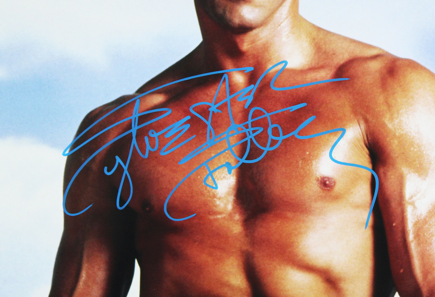 Sylvester Stallone Rocky Authentic Signed 16x20 Vertical Sky Photo