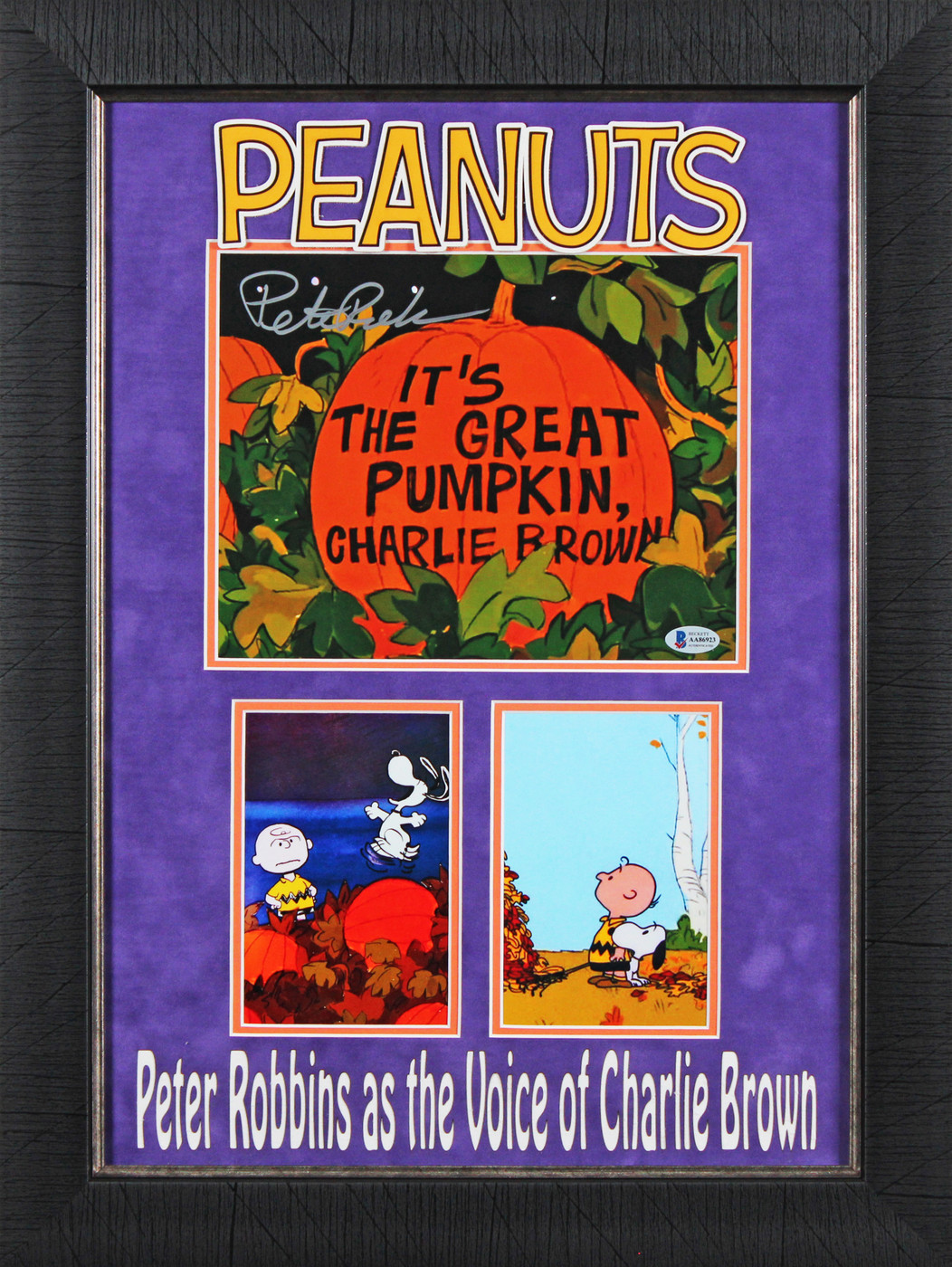 Peter Robbins Peanuts Authentic Signed 8x10 Framed Photo Autographed BAS