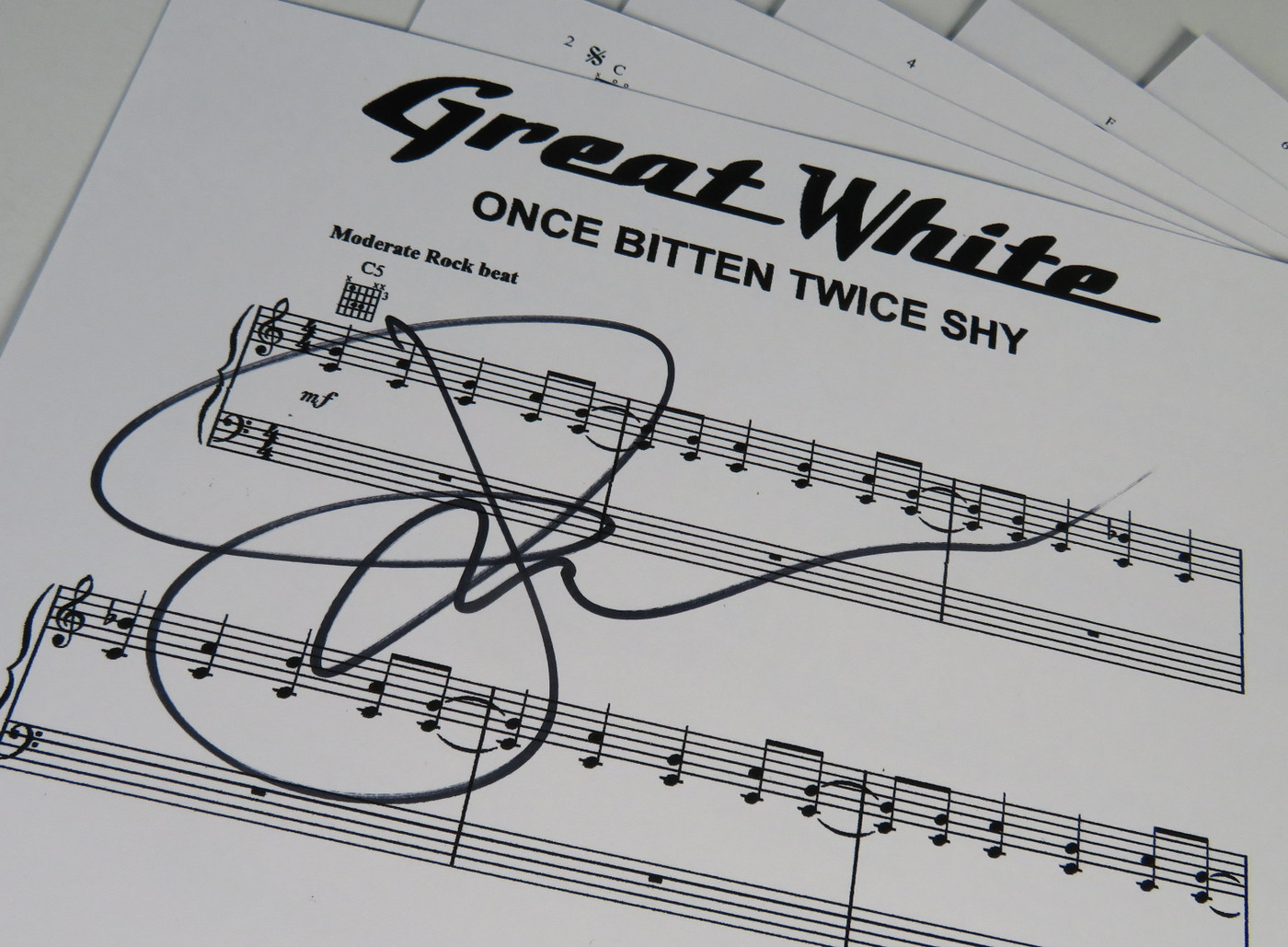 Once Bitten Twice Shy