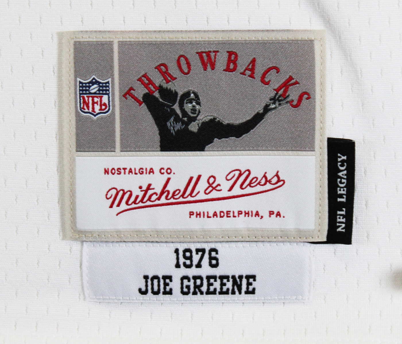 Steelers Joe Greene "Career Stat" Signed White M&N TB Jersey BAS Wit #3W142112