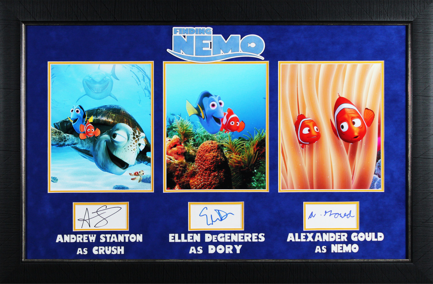 Finding Nemo (3) Stanton, DeGeneres & Gould Authentic Signed Framed Display BAS