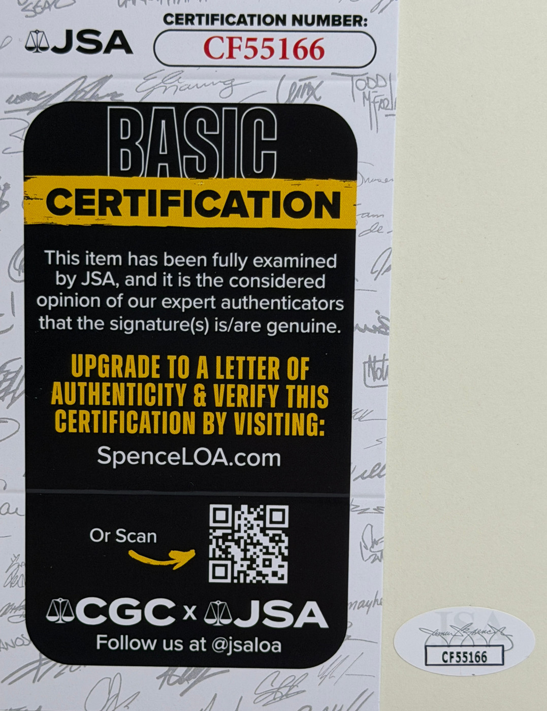 Elvis Costello Lyrics "Song With Rose"