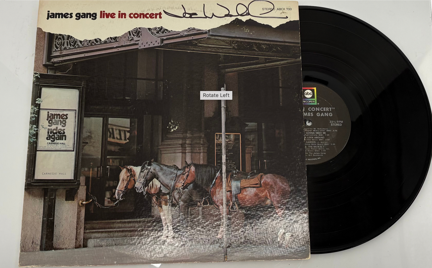 Joe Walsh "Live in Concert"