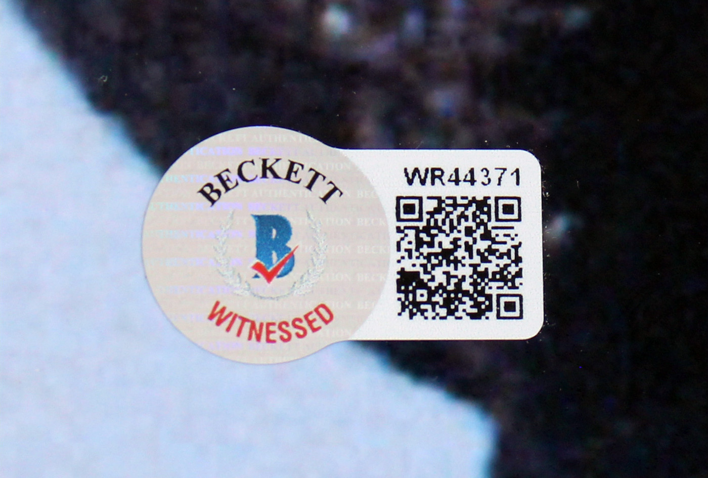 Chevy Chase Christmas Vacation Authentic Signed 16x20 Photo BAS Witness #WR44371