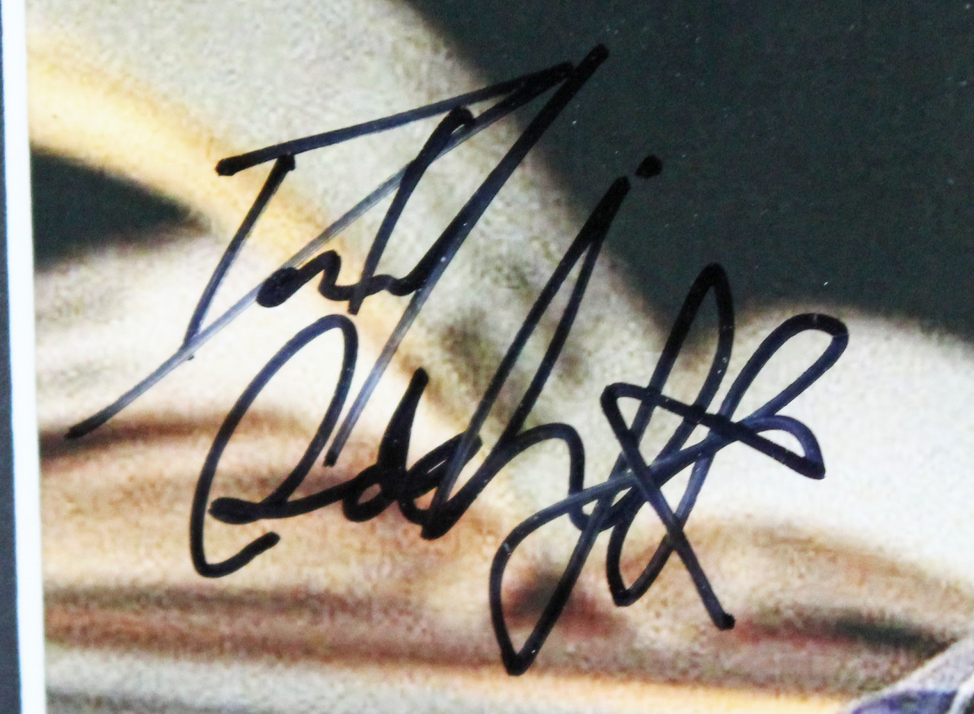 Daniel Radcliffe Harry Potter Authentic Signed Framed Display PSA/DNA #AM42565