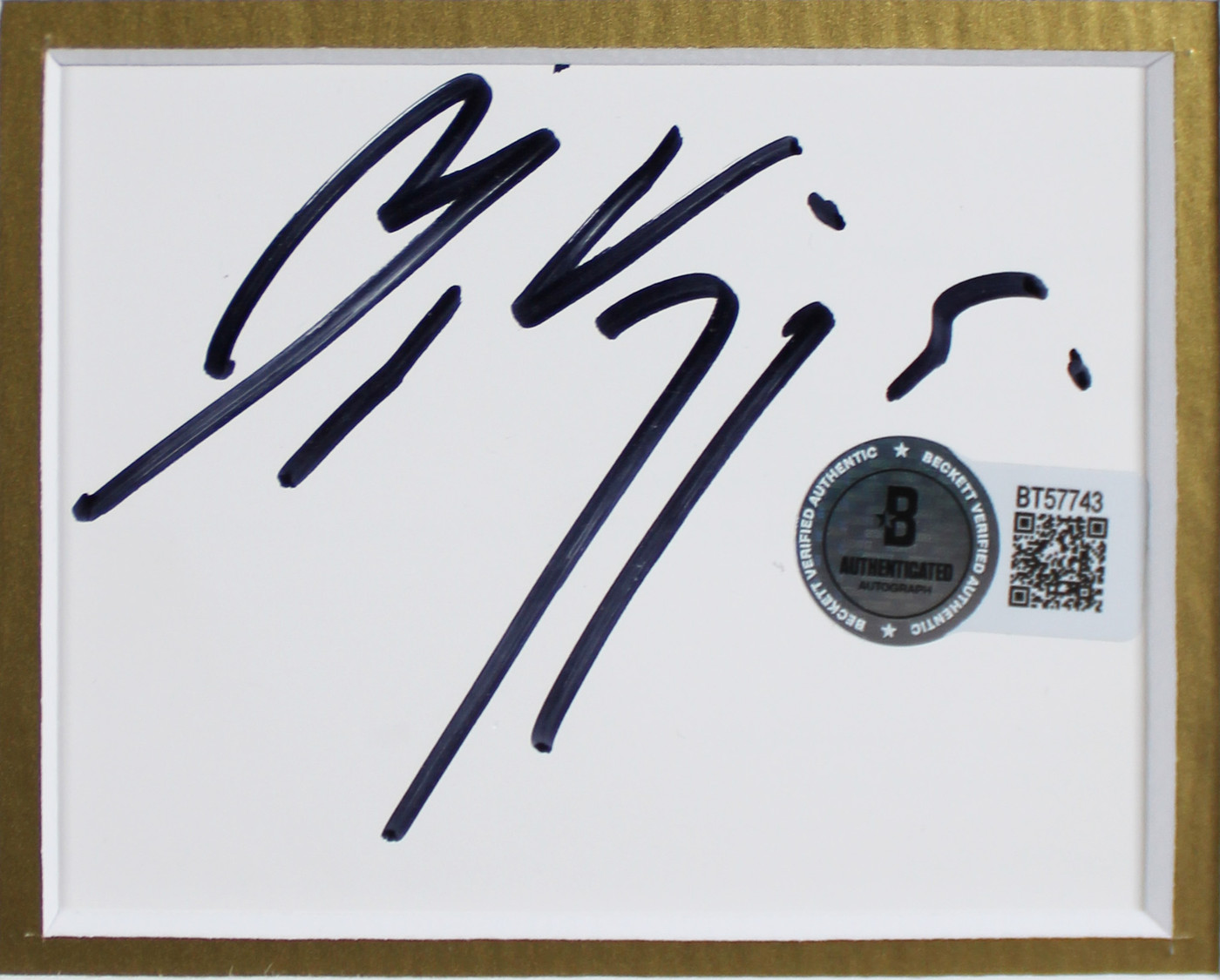 Ian McKellen & Viggo Mortensen Lord of the Rings Signed Framed Display BAS