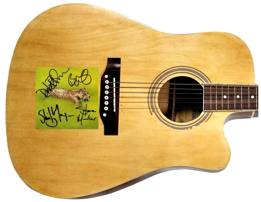 Garbage X4 Signed Empty CD Cover Acoustic Guitar