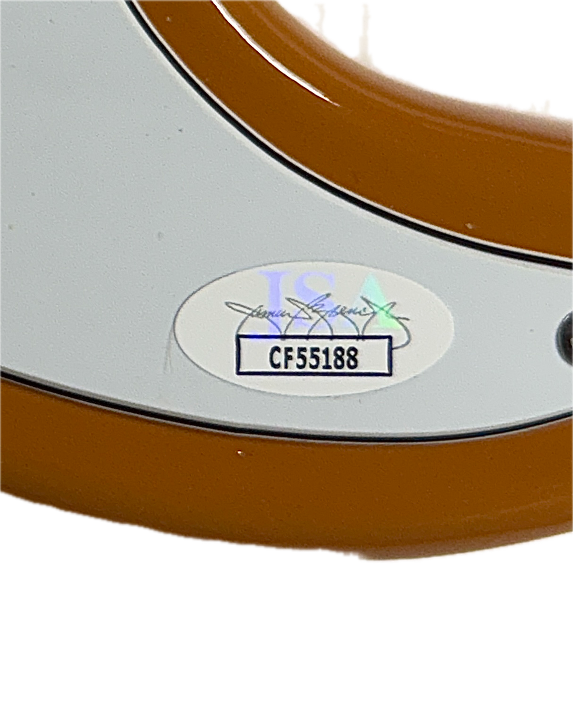 Don Felder Eagles Electric Guitar