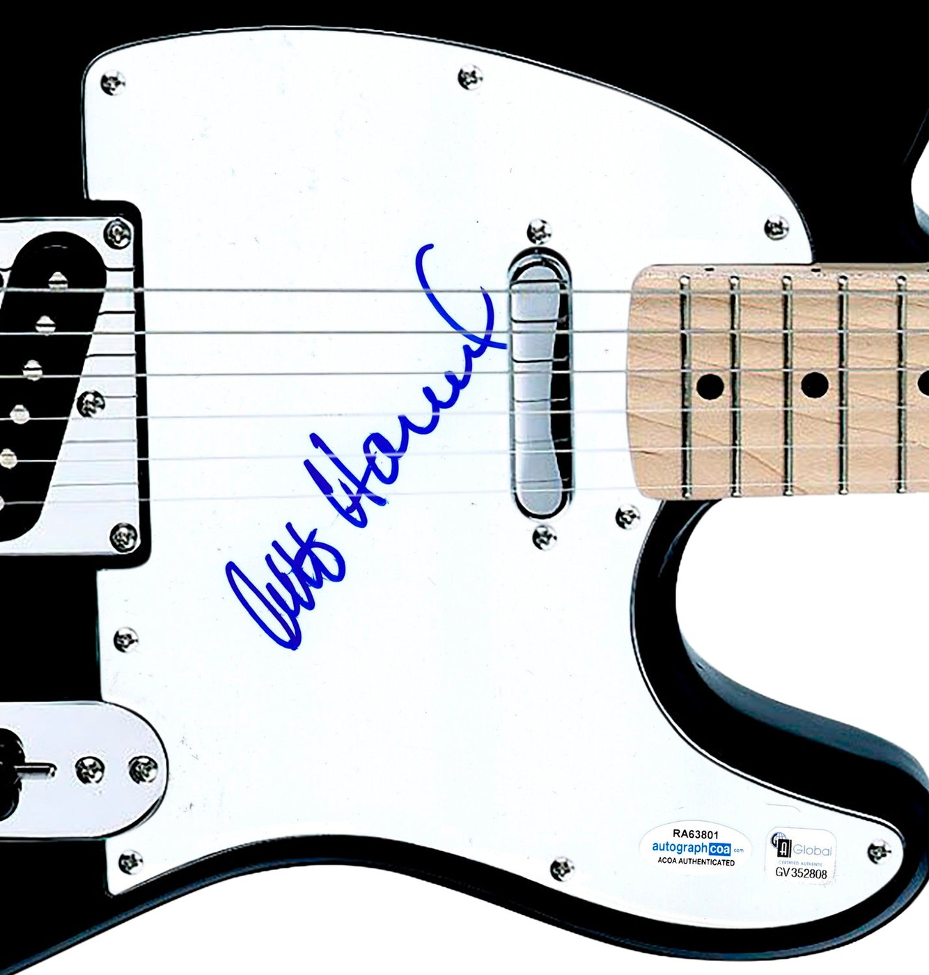 Albert Hammond Signed Autographed Guitar ACOA