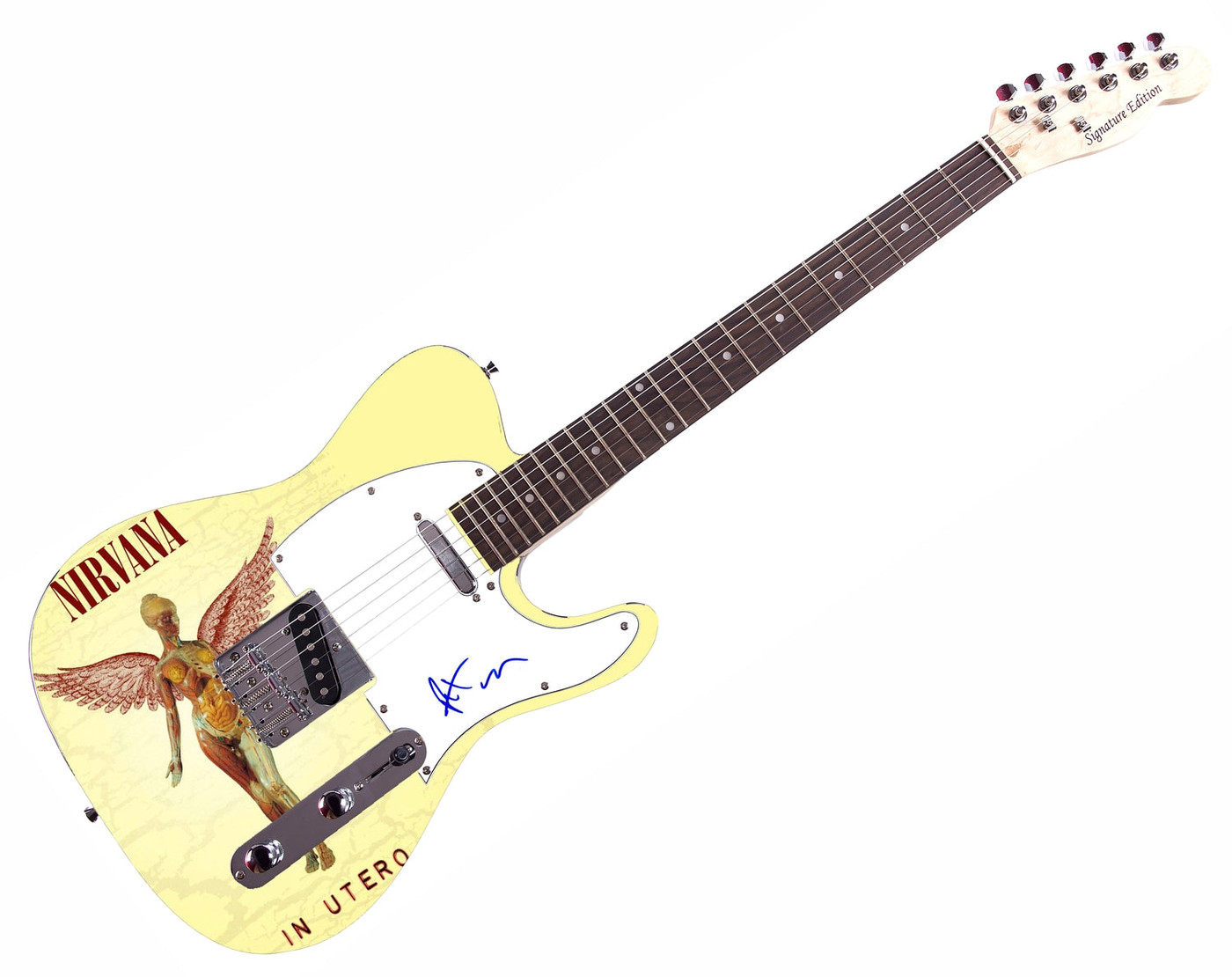 Nirvana Pat Smear Signed Custom 1/1 Graphics Photo Guitar