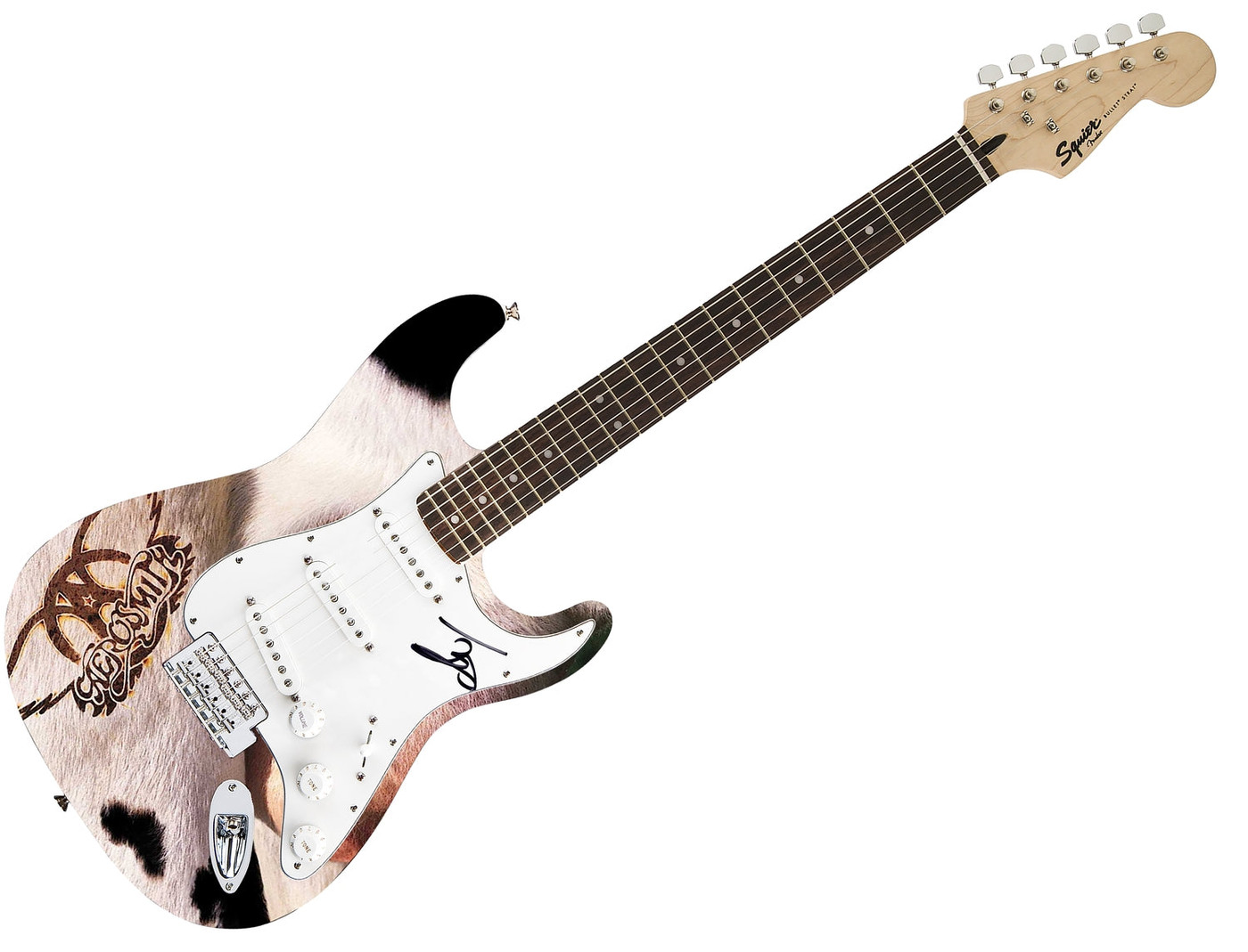 Aerosmith Steven Tyler Autographed Fender 1/1 Get A Grip Album Graphics Guitar