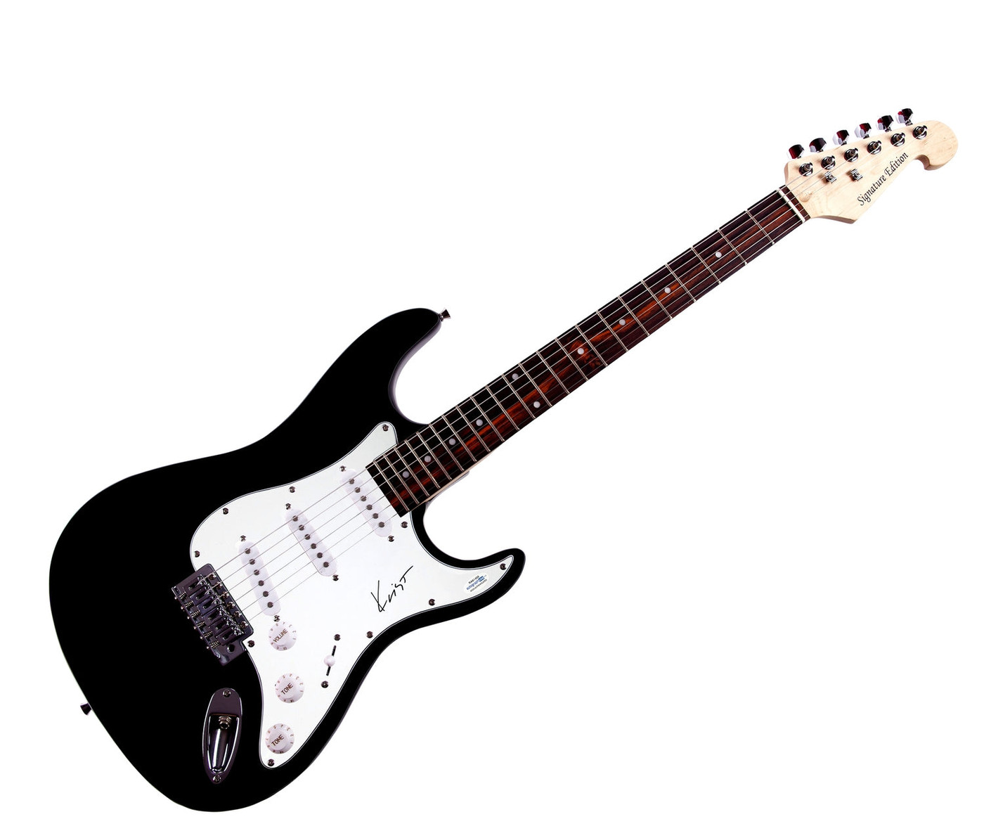 Nirvana Krist Novoselic Signed Autographed Guitar ACOA