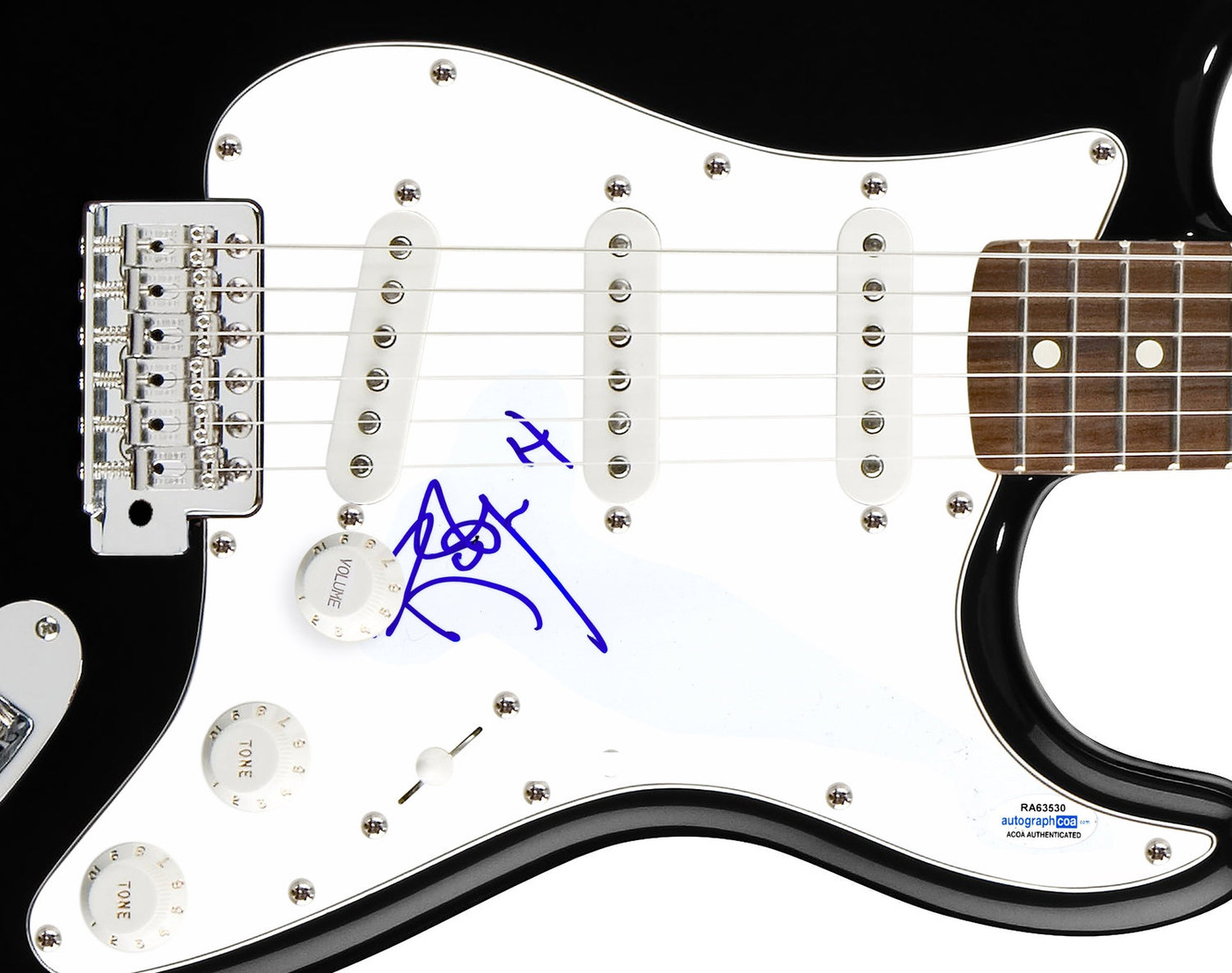 Robyn Hitchcock Signed Autographed Guitar ACOA