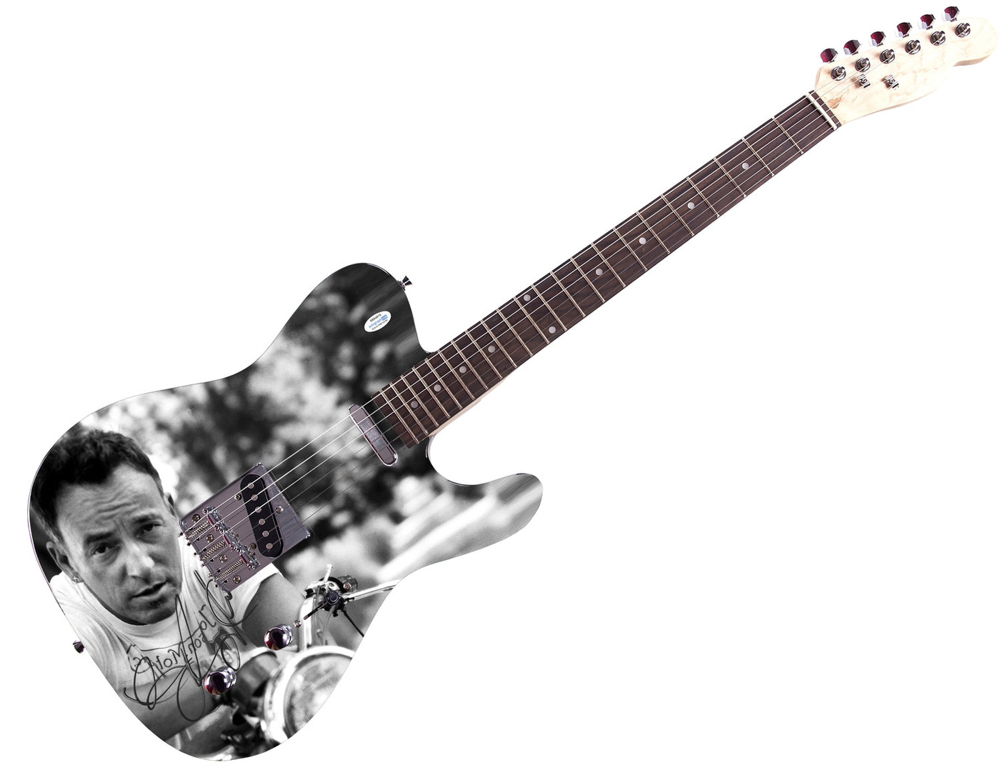 Bruce Springsteen Born To Ride Signed Custom Graphics Guitar ACOA
