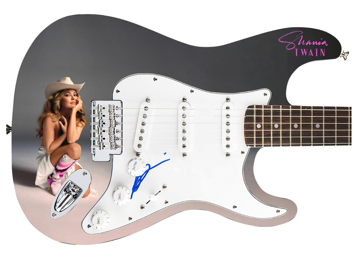 Shania Twain Signed Topless Nude 1/1 Custom Graphics Guitar