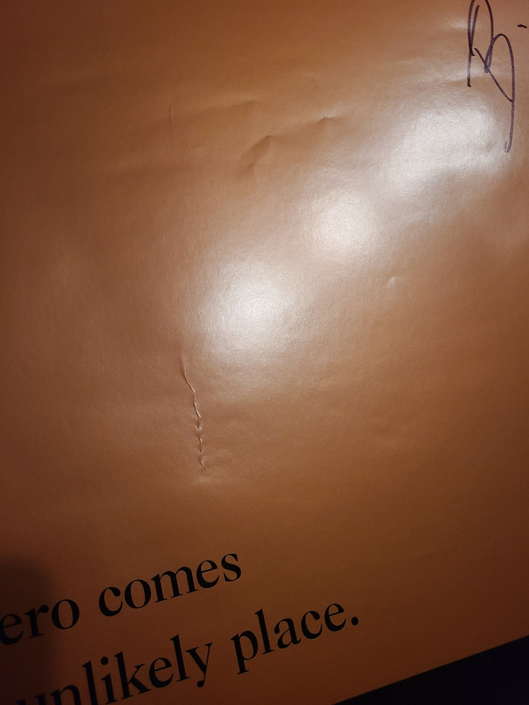 Billy Bob Thornton Autographed Original Sling Blade Poster w Movie Quote Exact Proof