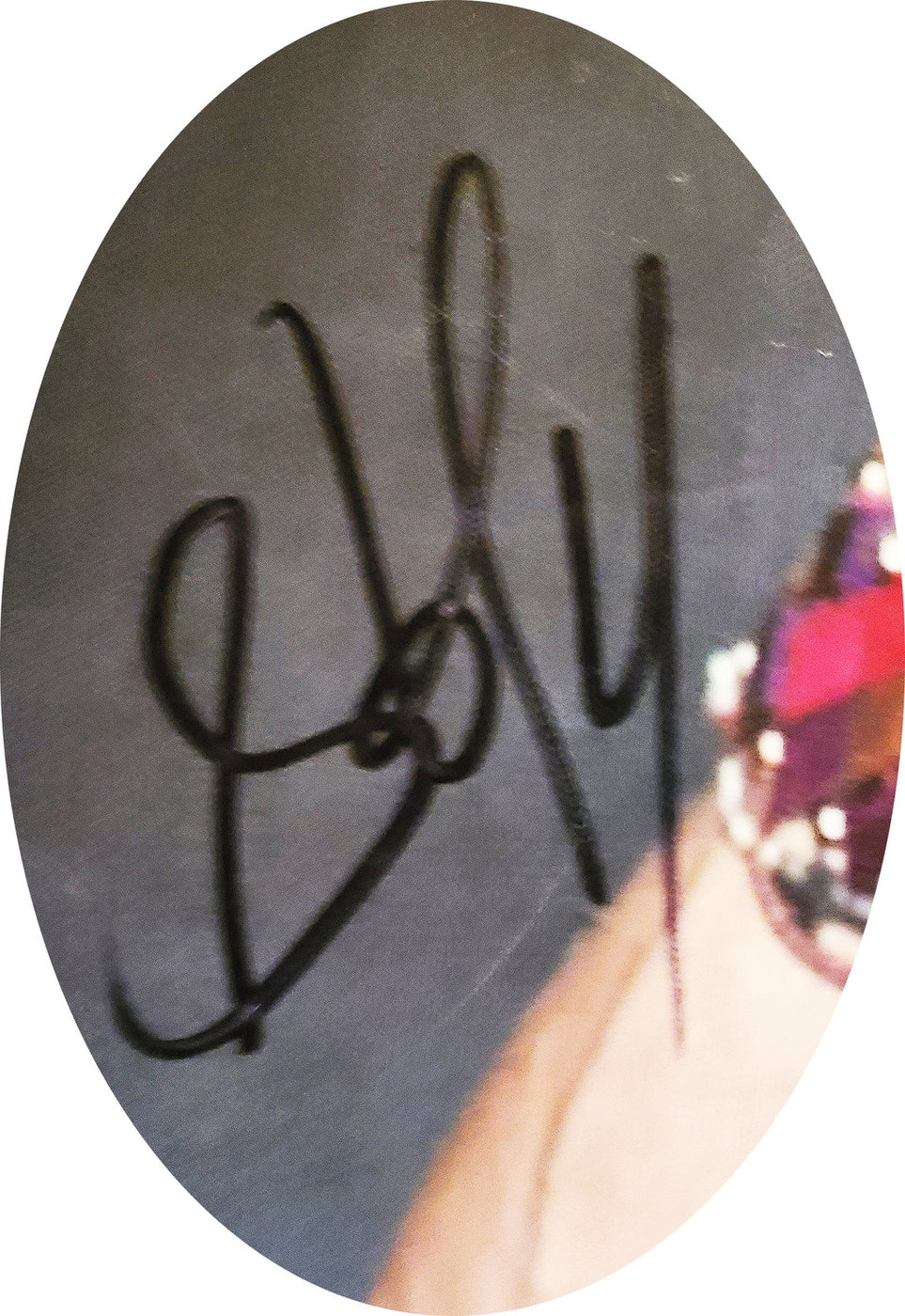 Aerosmith Steven Tyler Signed Framed 24x36 Canvas Photo Print