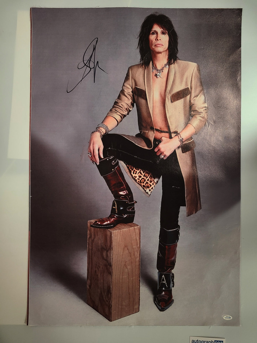 Aerosmith Steven Tyler Autographed Debonair Framed 24x36 Canvas Photo Video Proof