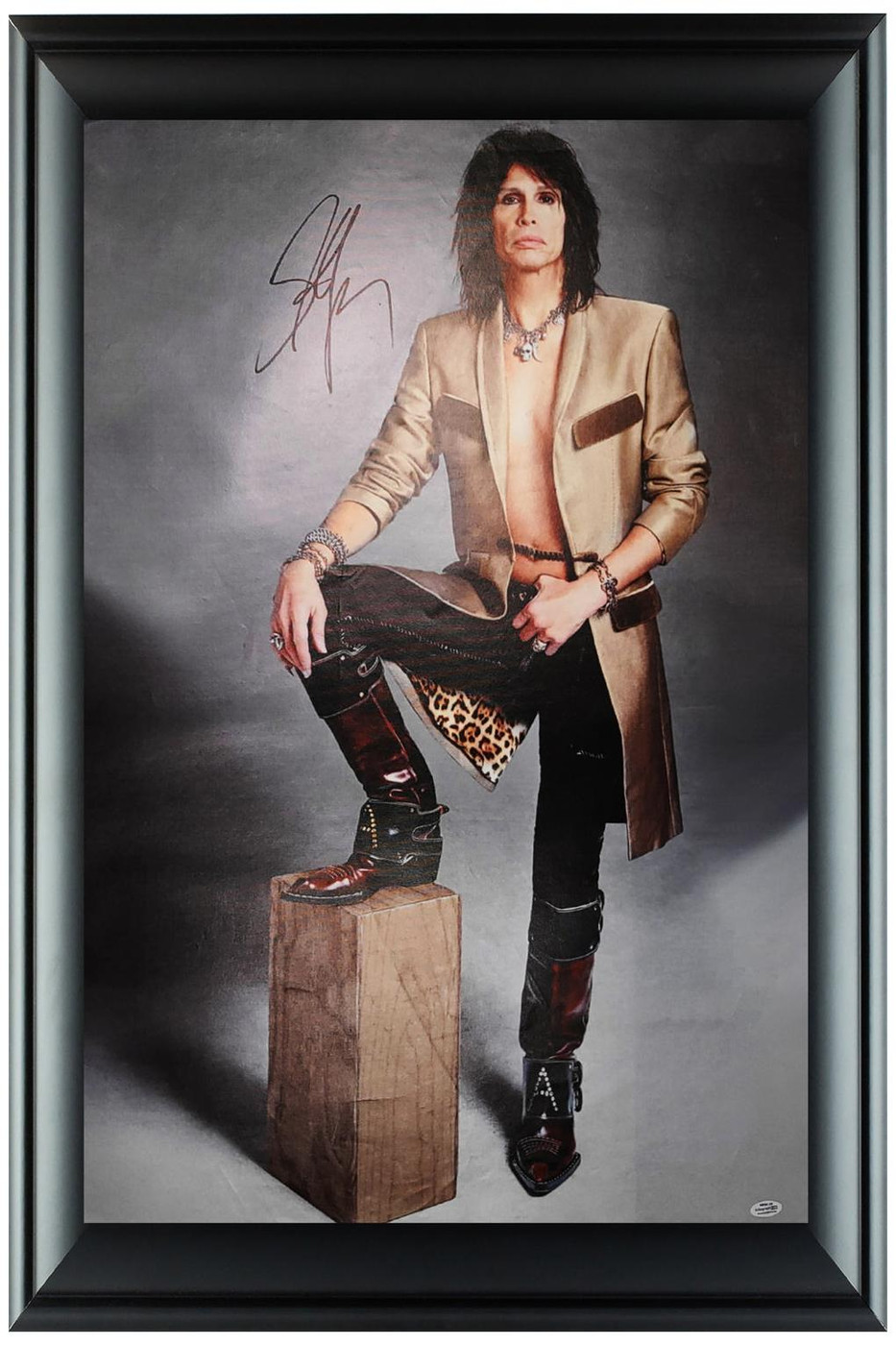 Aerosmith Steven Tyler Autographed Framed 24x36 Canvas Photo Print Video Proof A