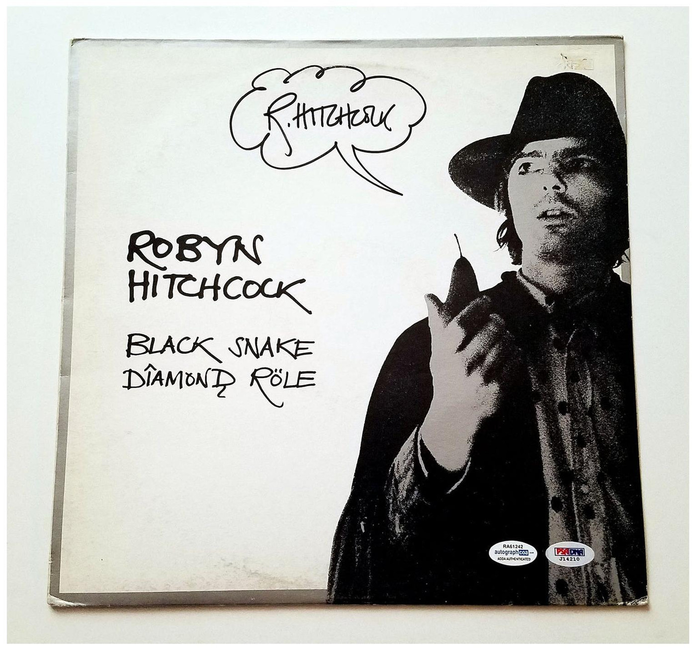 Robyn Hitchcock Signed Autographed Album LP ACOA -
