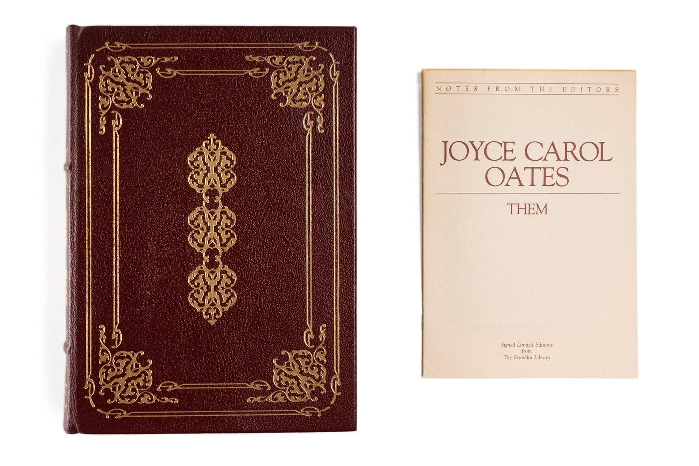 Joyce Carol Oates's Them