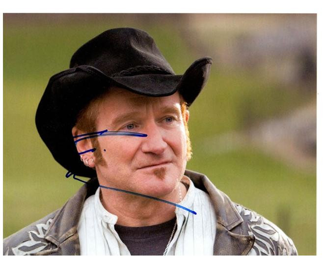 Robin Williams Signed Autographed 8x10 Photo RD
