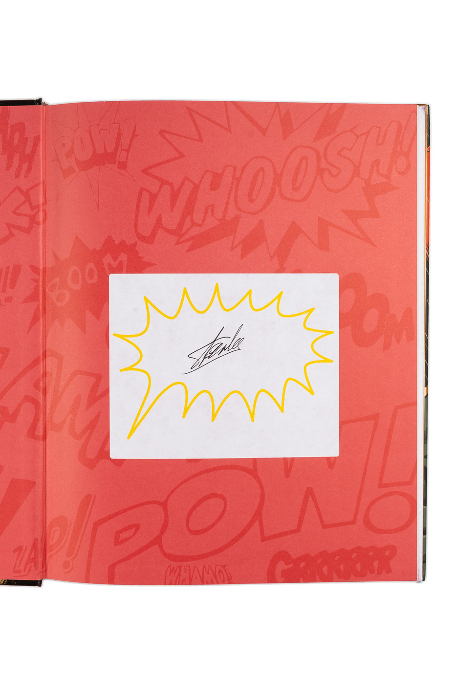 Stan Lee's How To Draw Comics