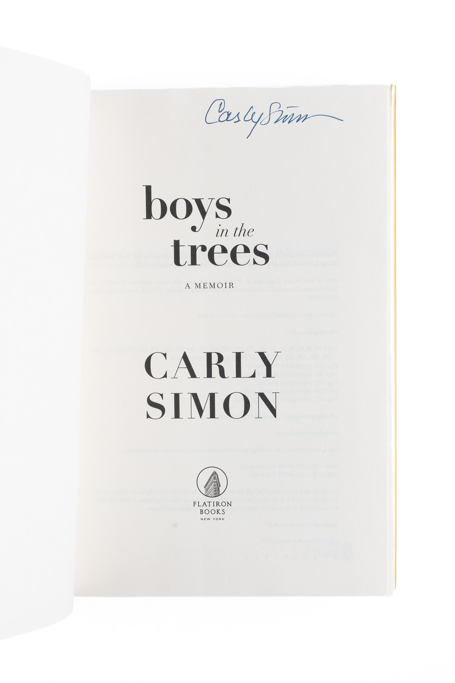 Boys in the Trees: A Memoir