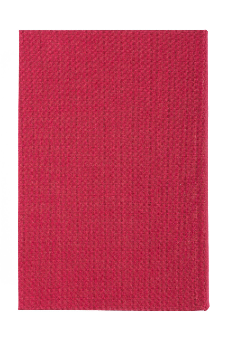 Red Rabbit